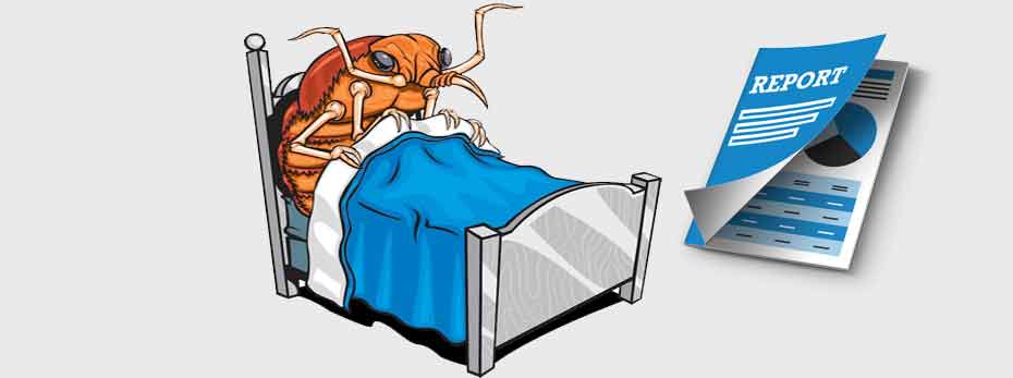latest bedbug reports